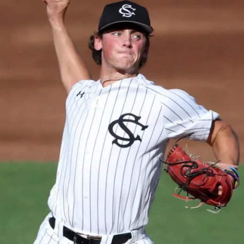 South Carolina Gamecocks #33 Tyler Pitzer White Black Pinstripe Full Button Baseball Game Jersey