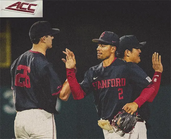 Stanford Cardinals Custom 2025 Black transverse Wordmark two-Button Pullover ACC Baseball Game Jersey