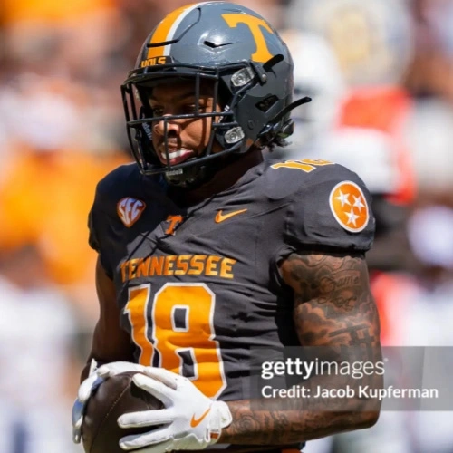 Men's Tennessee Volunteers #18 DeSean Bishop 2024 SMOKEY GREY Football Game Jersey