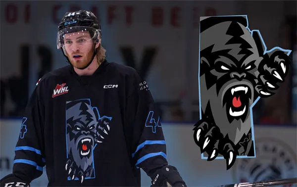 Winnipeg Ice Custom Black Retro Jersey
