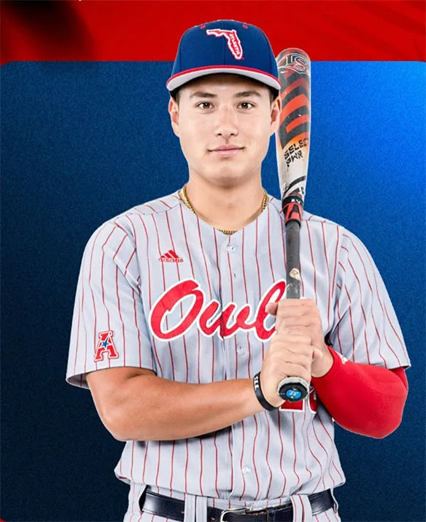 Florida Atlantic Owls Custom 2025 Gray Pinstripe Baseball Game Jersey