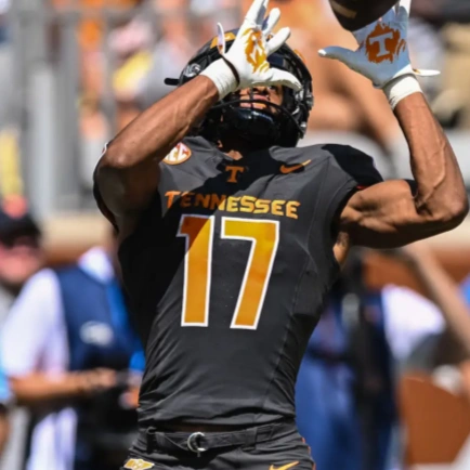 Tennessee Volunteers #17 Chris Brazzell II 2024 SMOKEY GREY Football Game Jersey