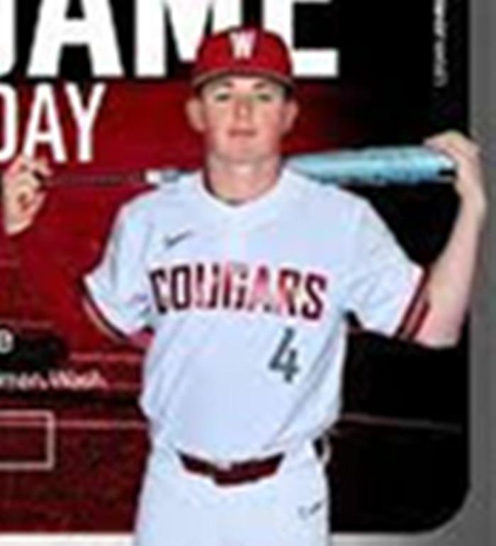 Washington State Cougars #4 Logan Johnstone White  Two Button College Baseball Game Jersey